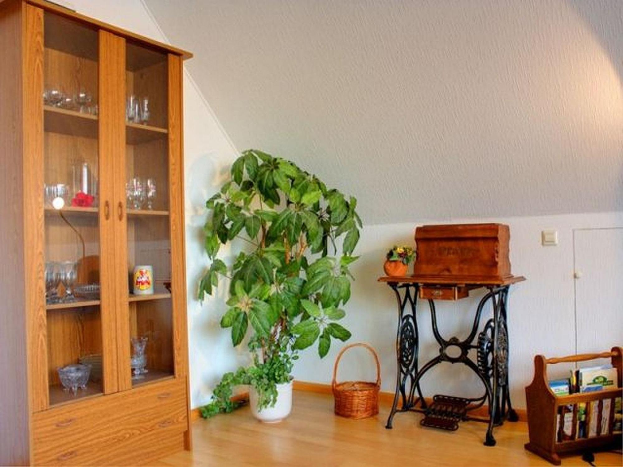 Haus Wehrle Daire Breisach Dış mekan fotoğraf